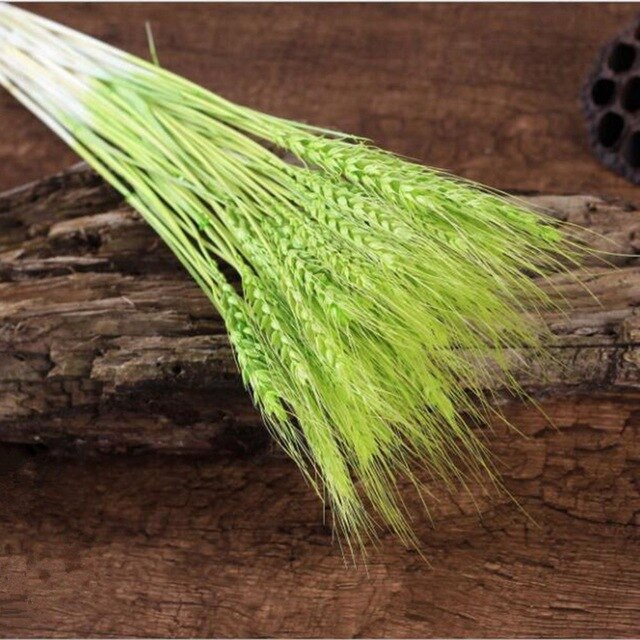 GRAIN WHEAT EARS