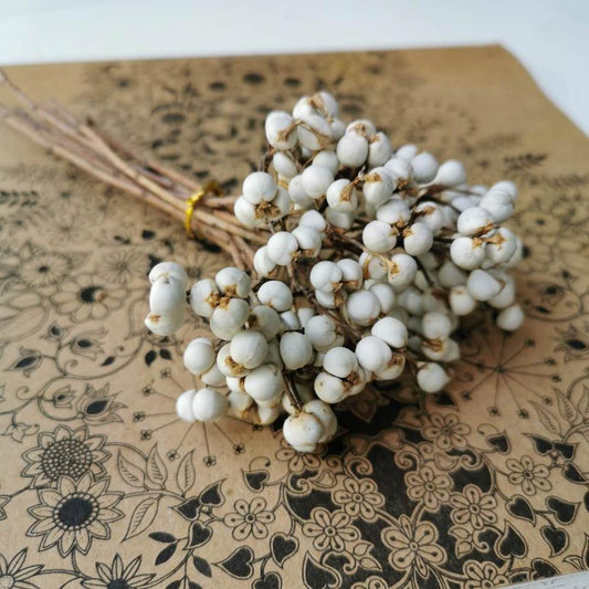 WHITE FRUITS