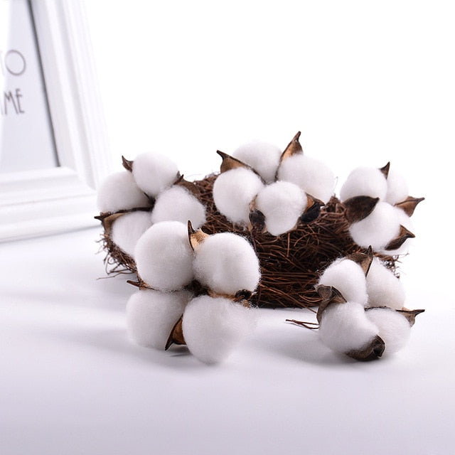 COLORED COTTON FLOWER