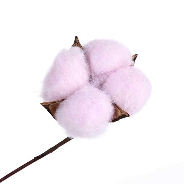 COLORED COTTON FLOWER