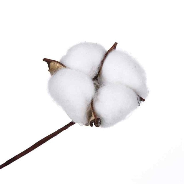 COLORED COTTON FLOWER
