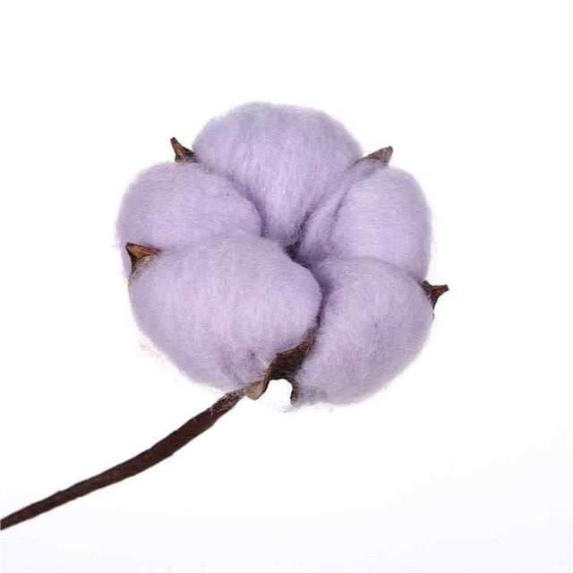 COLORED COTTON FLOWER