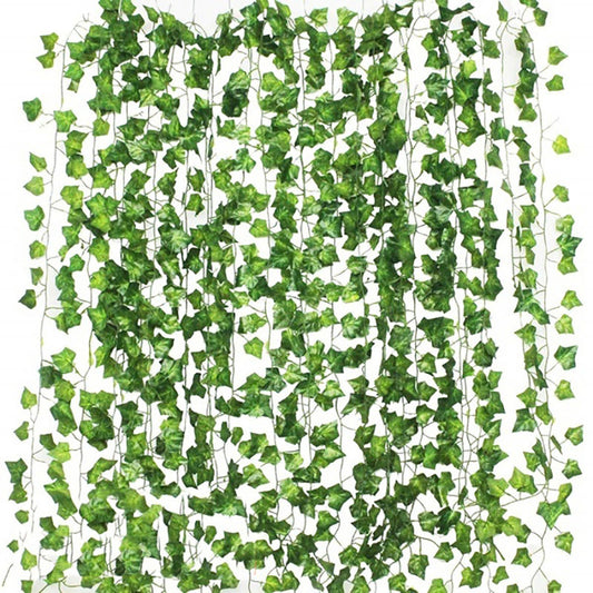 VINE LEAVES BUNDLE
