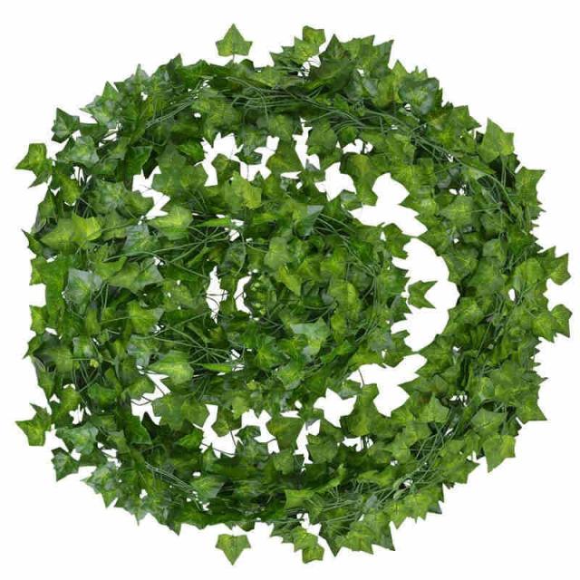 VINE LEAVES BUNDLE